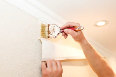 Pose de papier peint à Plottes — revêtements muraux et toiles de verre